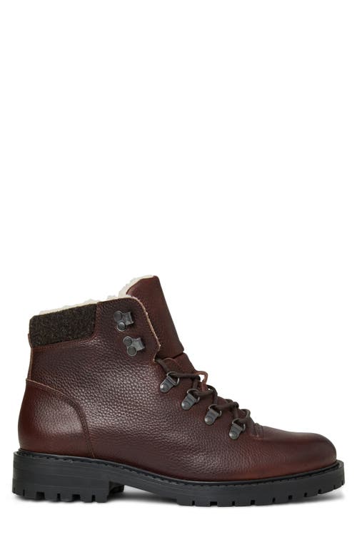 Bruno Magli Philip Lace-up Boot In Brown Tumbled