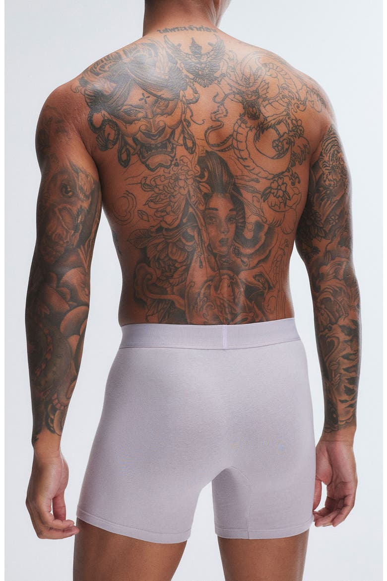 Savage X Cotton Blend Boxer Briefs, Alternate, color, STILL GREY
