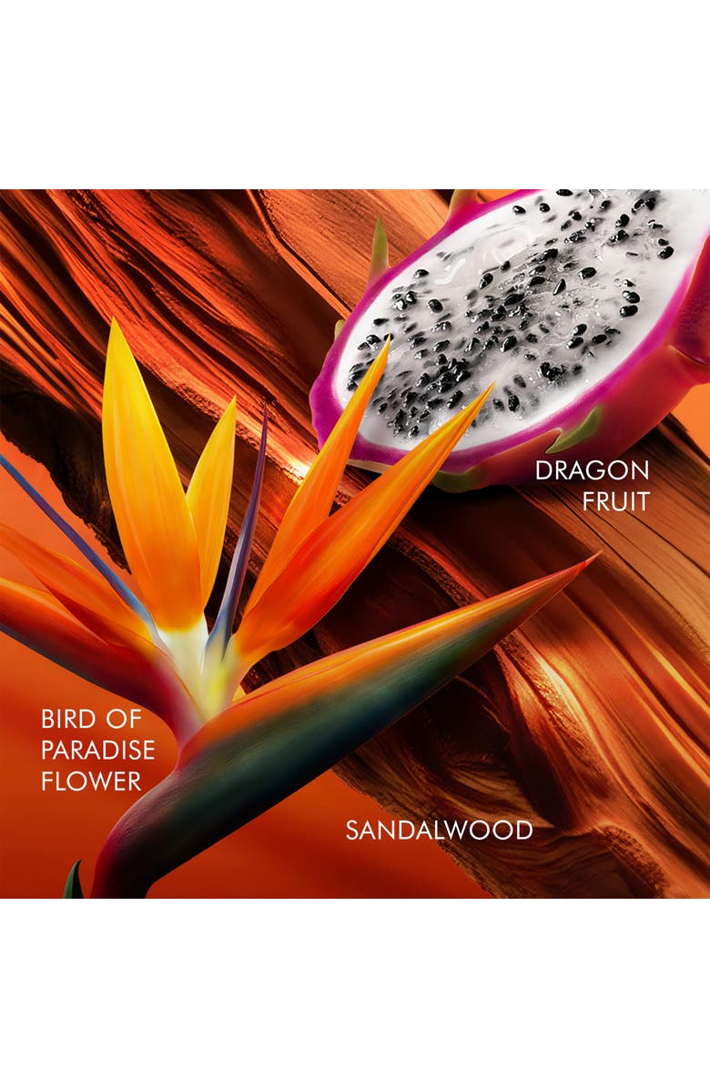 ESCADA Bali Paradise Eau de Toilette Gift Set, Alternate, color,