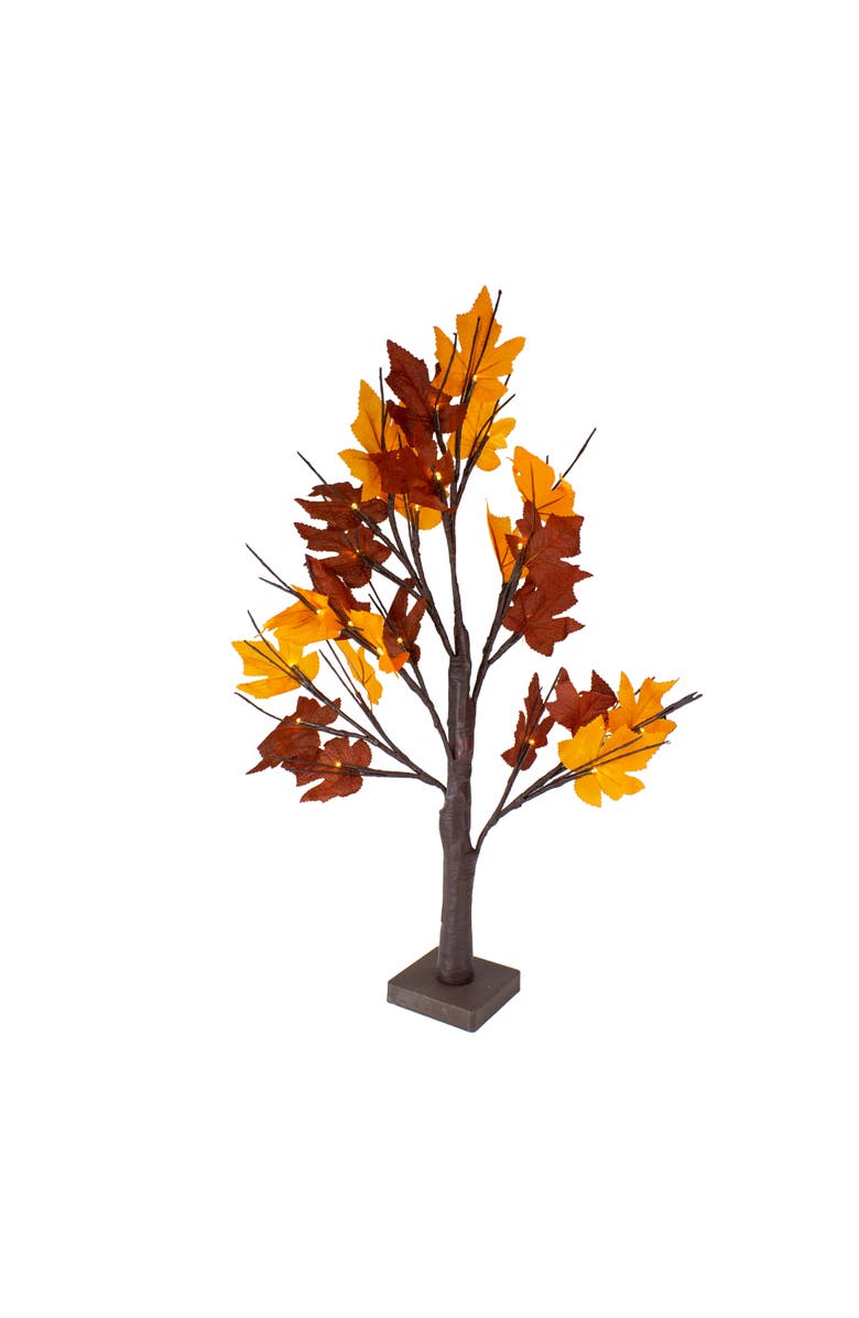 Northlight 2' Pre-Lit Maple Artificial Fall Harvest Tree- Clear LED Lights, Main, color, Brown