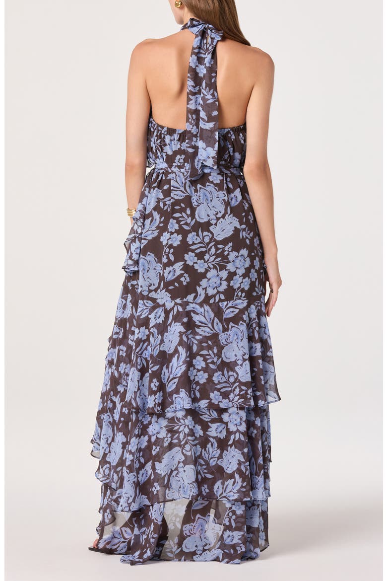 Floral Ruffle High Neck Maxi Dress, Alternate, color, BLUE BROWN FLORAL