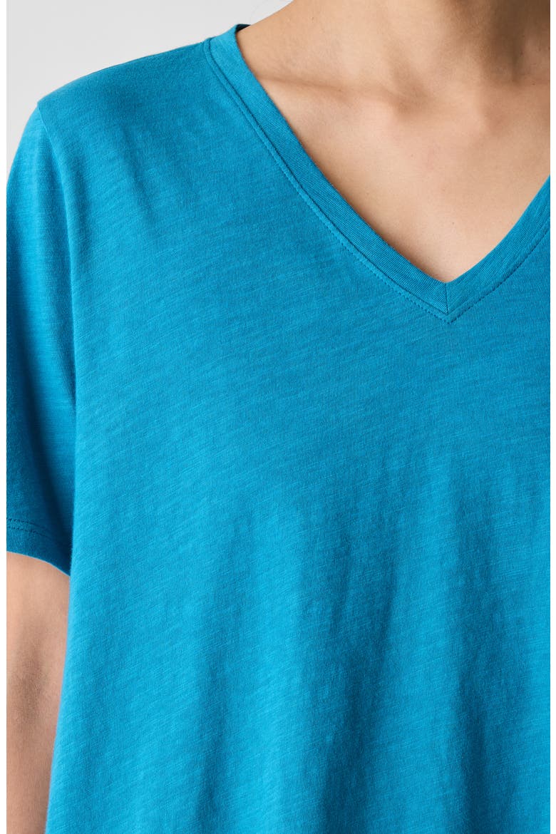 Easy V-Neck Organic Cotton T-Shirt, Alternate, color, DRAGONFLY