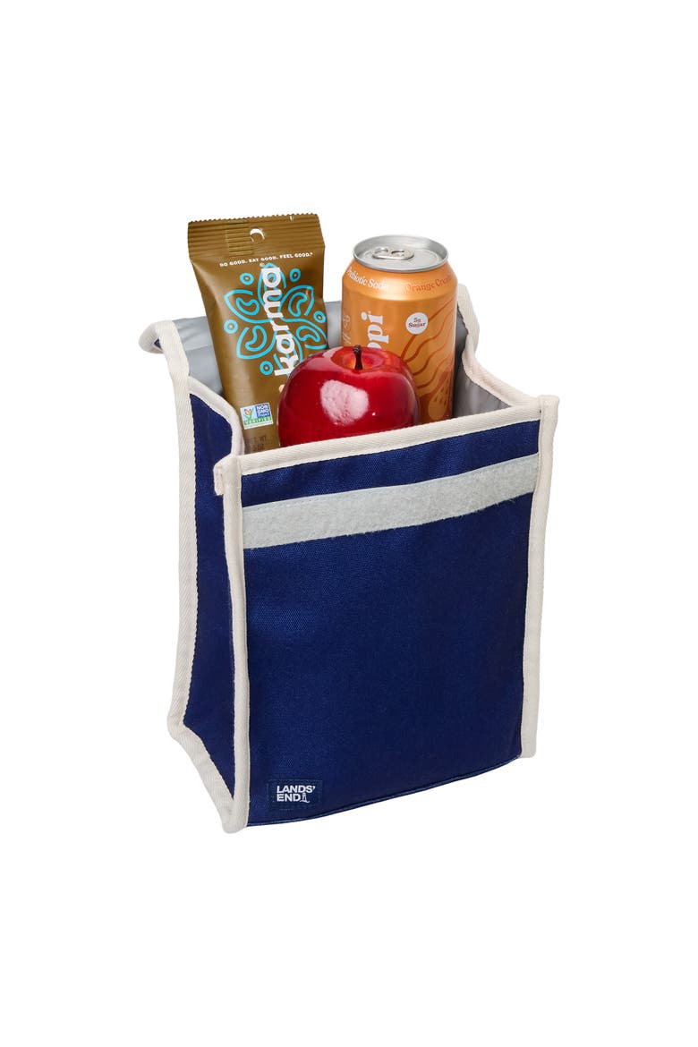 Small Cooler Bag Polyester Canvas, Soft Cooler Lunch Box for Women and Men, Alternate, color, Navy