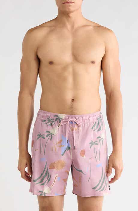 RVCA Men's Barnes Swim Trunks