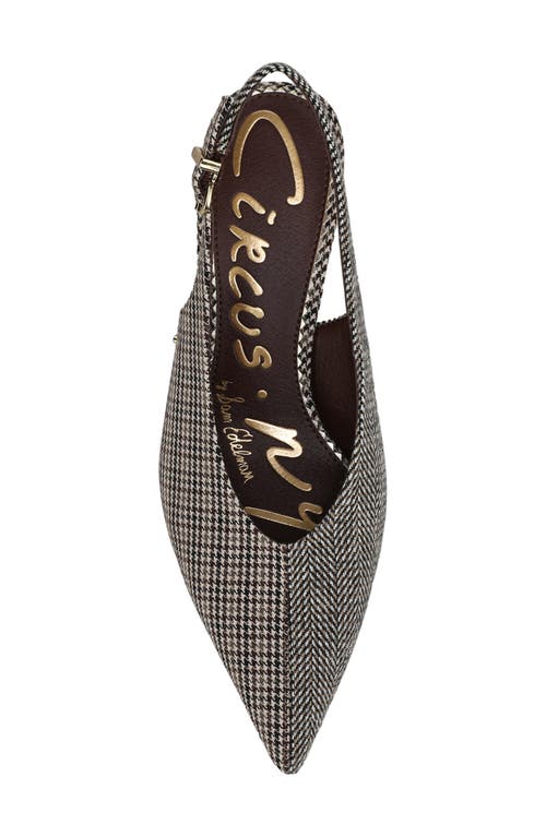 Circus Ny By Sam Edelman Fawn Pointed Toe Slingback Pump In Multi