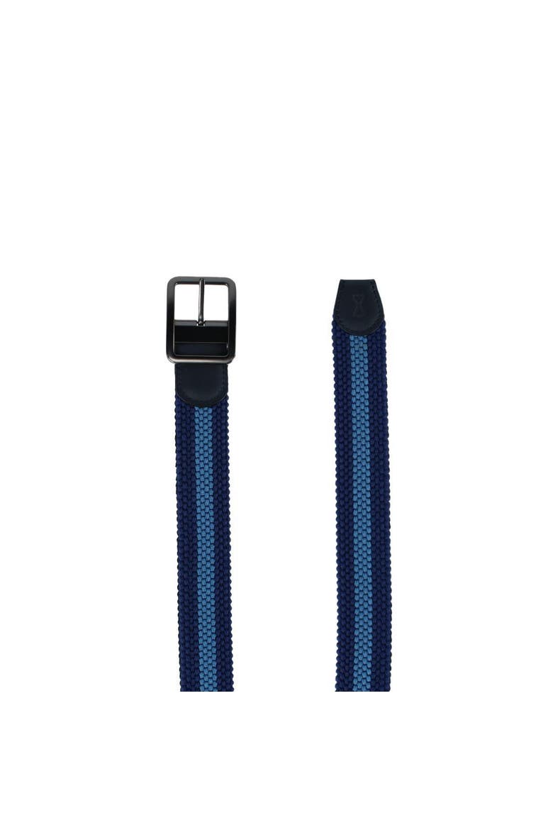 Big & Tall Arturo Black & Blue Striped Reversible Braided Belt, Alternate, color, Black/Blue Stripes