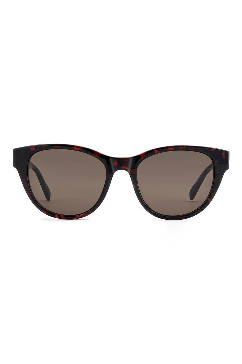 53mm Square Sunglasses, Main, color, HAVANA/ BROWN