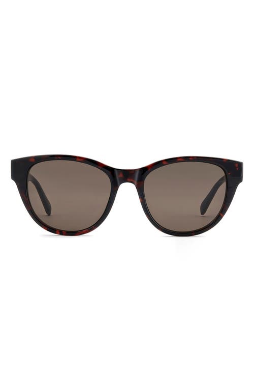 Fossil 53mm Square Sunglasses In Brown