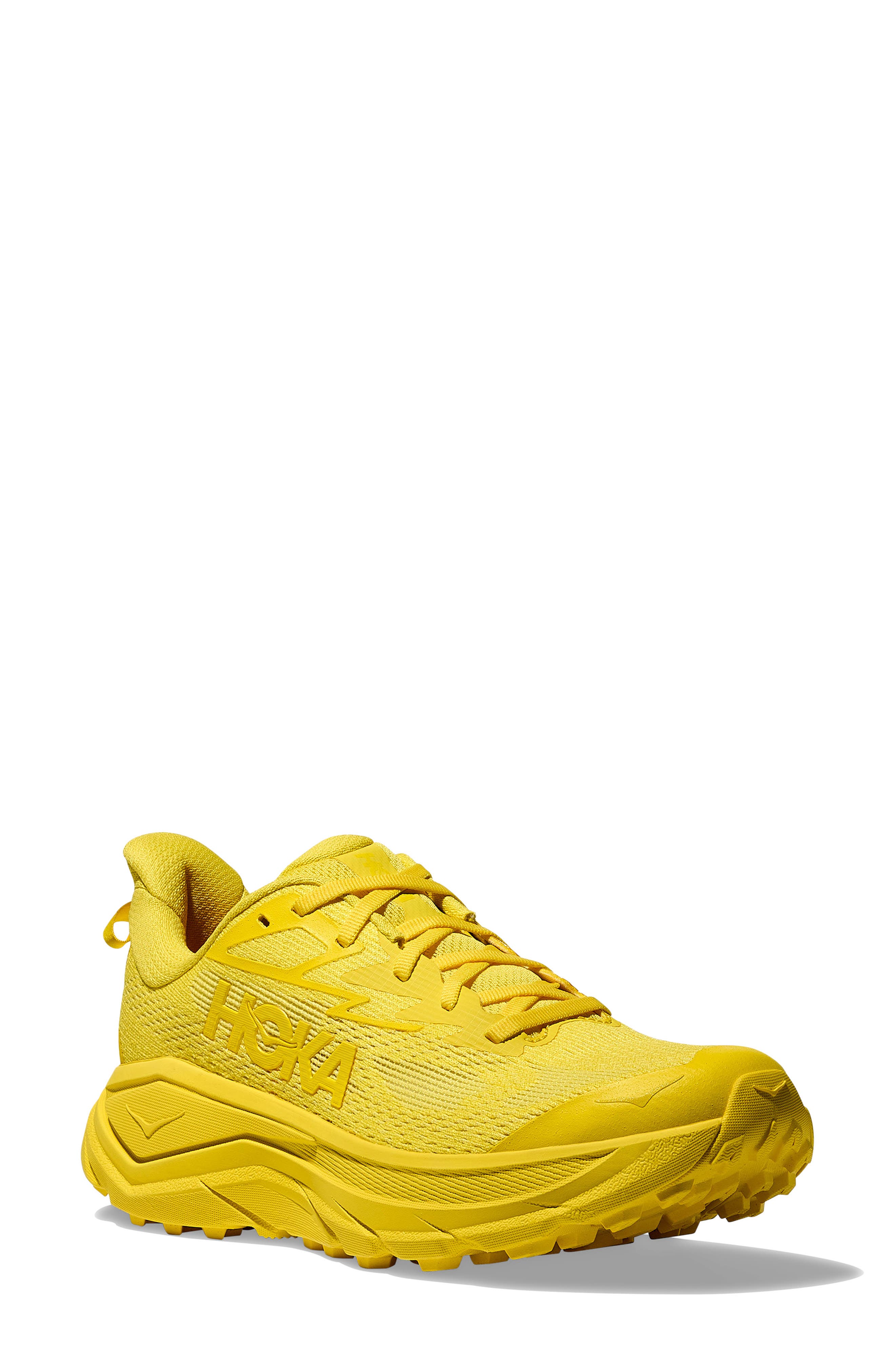  Electric Lemon / Electric