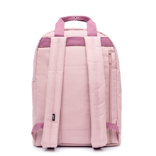 Lefrik Capsule Backpack In Purple