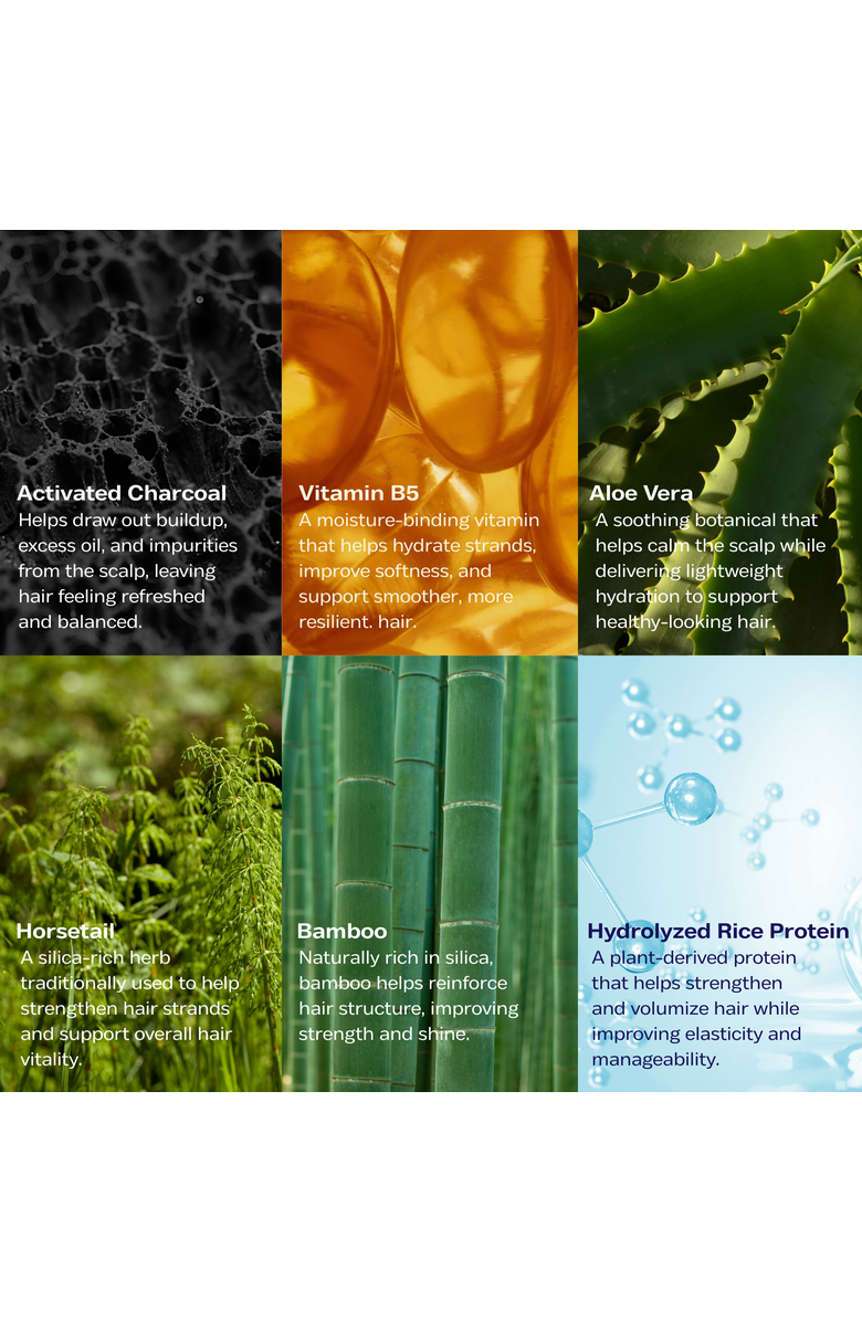 Luna Nectar Obsidian Volumizing & Anti-Pollution Scalp Scrub, Alternate, color, White