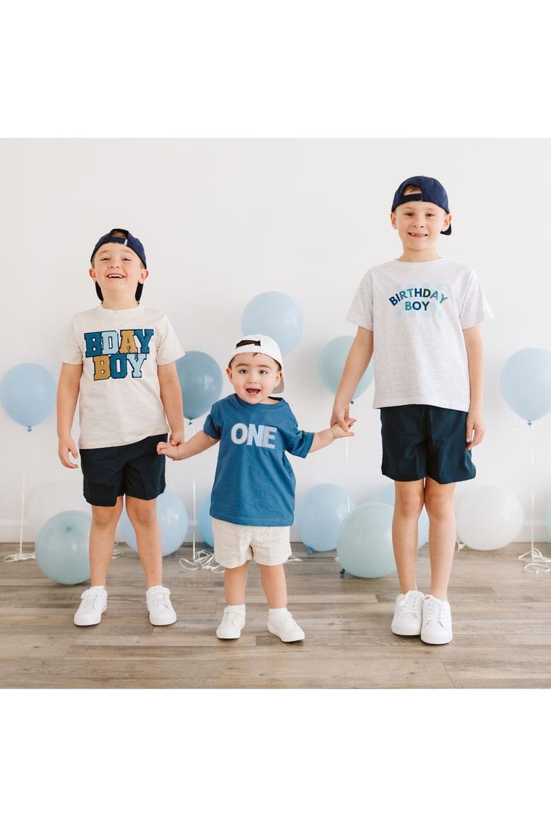 Birthday Boy Checker Short Sleeve T-Shirt, Alternate, color, Ash
