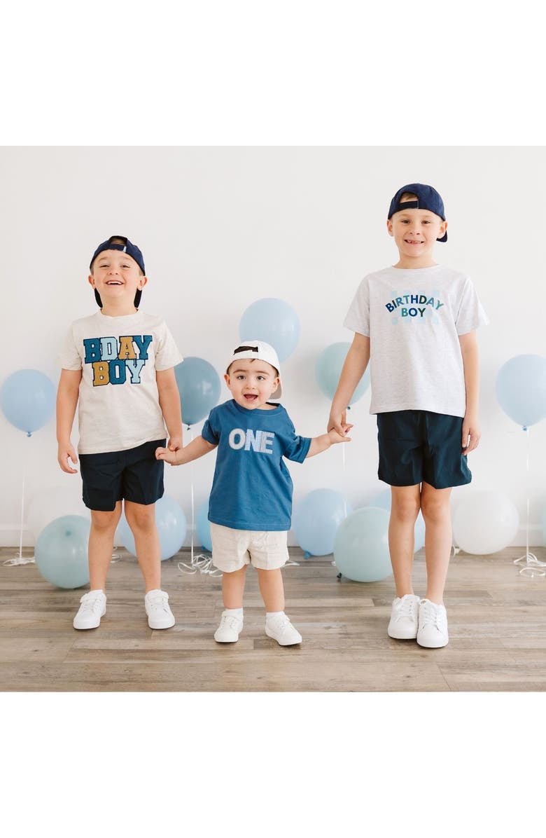 Sweet Wink Birthday Boy Checker Short Sleeve T-Shirt, Alternate, color, Ash