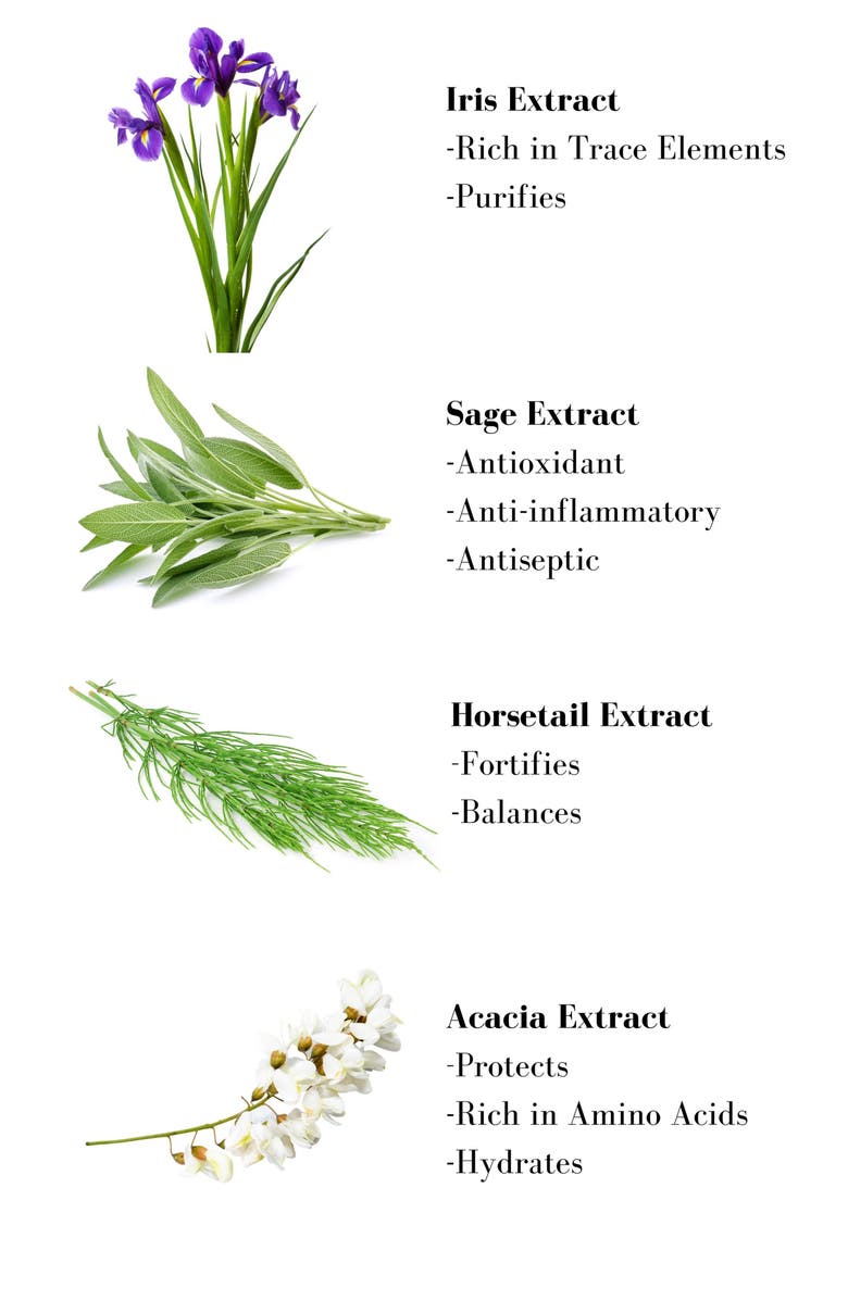 Leonor Greyl PARIS Tonique Végétal Leave-In Treatment, Alternate, color,