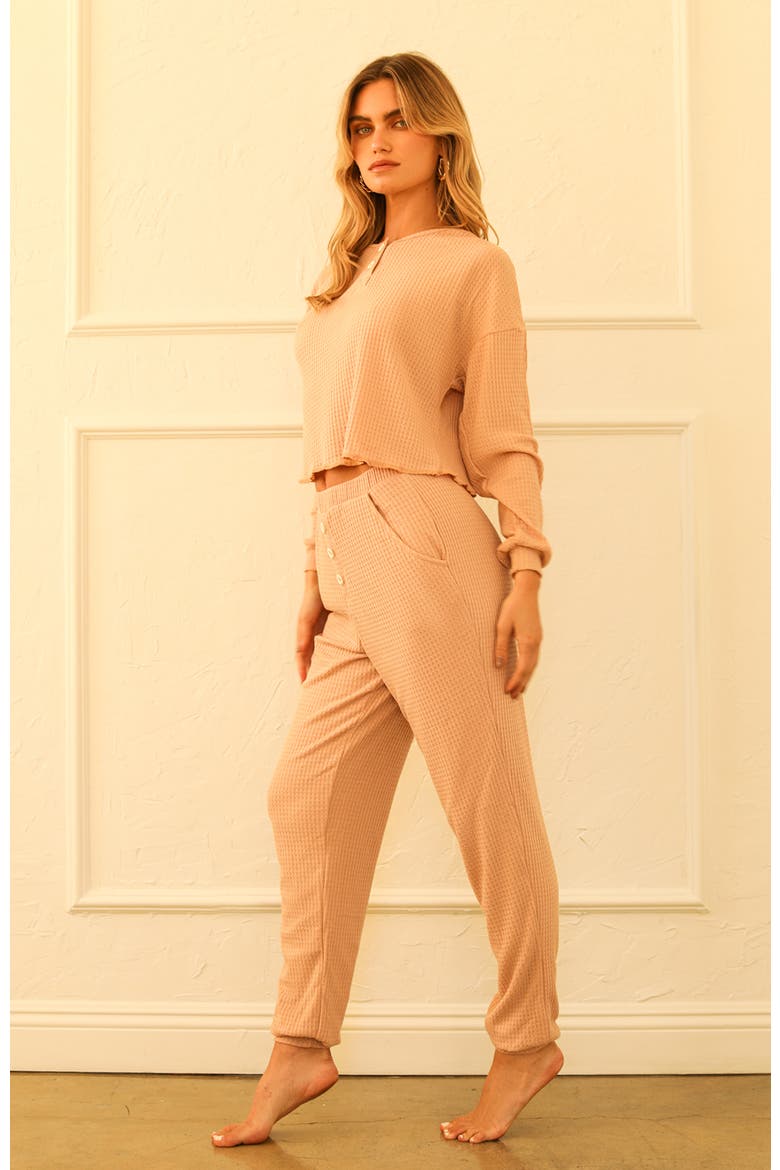 Scout Long Sleeve Oversized Crop Top, Alternate, color, Nude