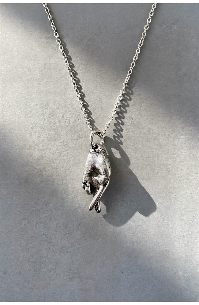 Astor & Orion Good Luck Charm Necklace, Alternate, color, Silver