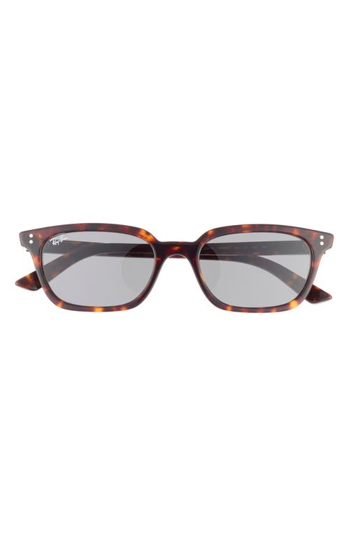 Ray Ban Ray-ban Zaya 53mm Sunglasses In Havana