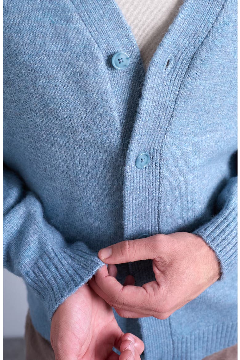 Oversize V-Neck Cardigan, Alternate, color, MEDIUM BLUE