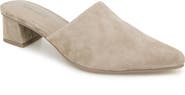 Splendid Laylai Pointed Toe Mule