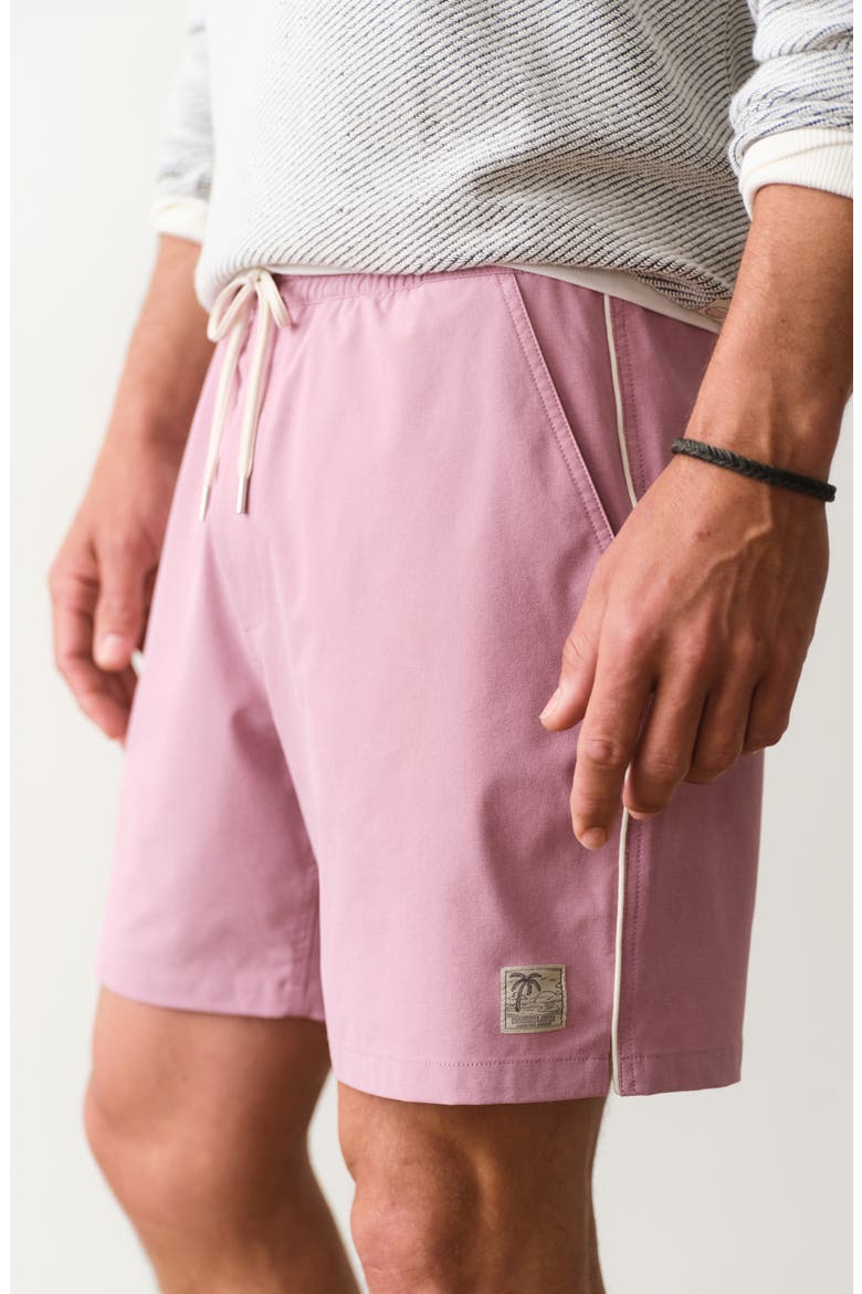 Lined Sport and Swim Shorts, Alternate, color, LILAC