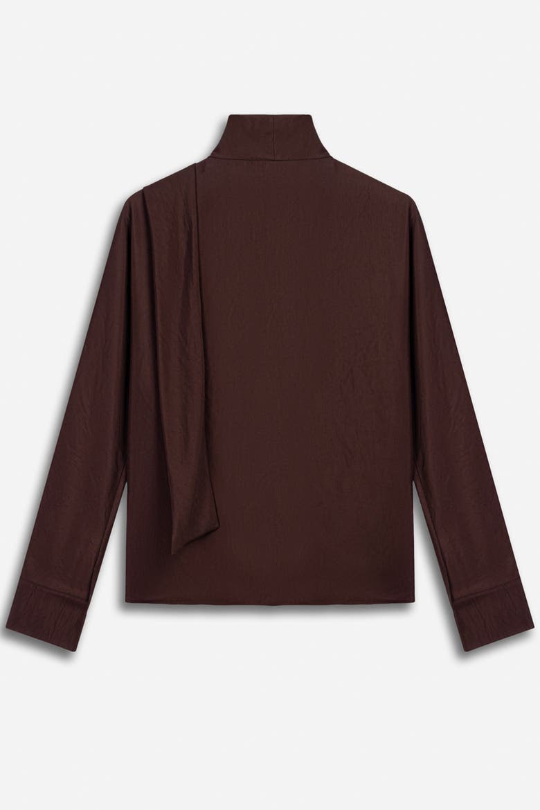 Stone Accessory Stand Collar Blouse, Alternate, color, Brown