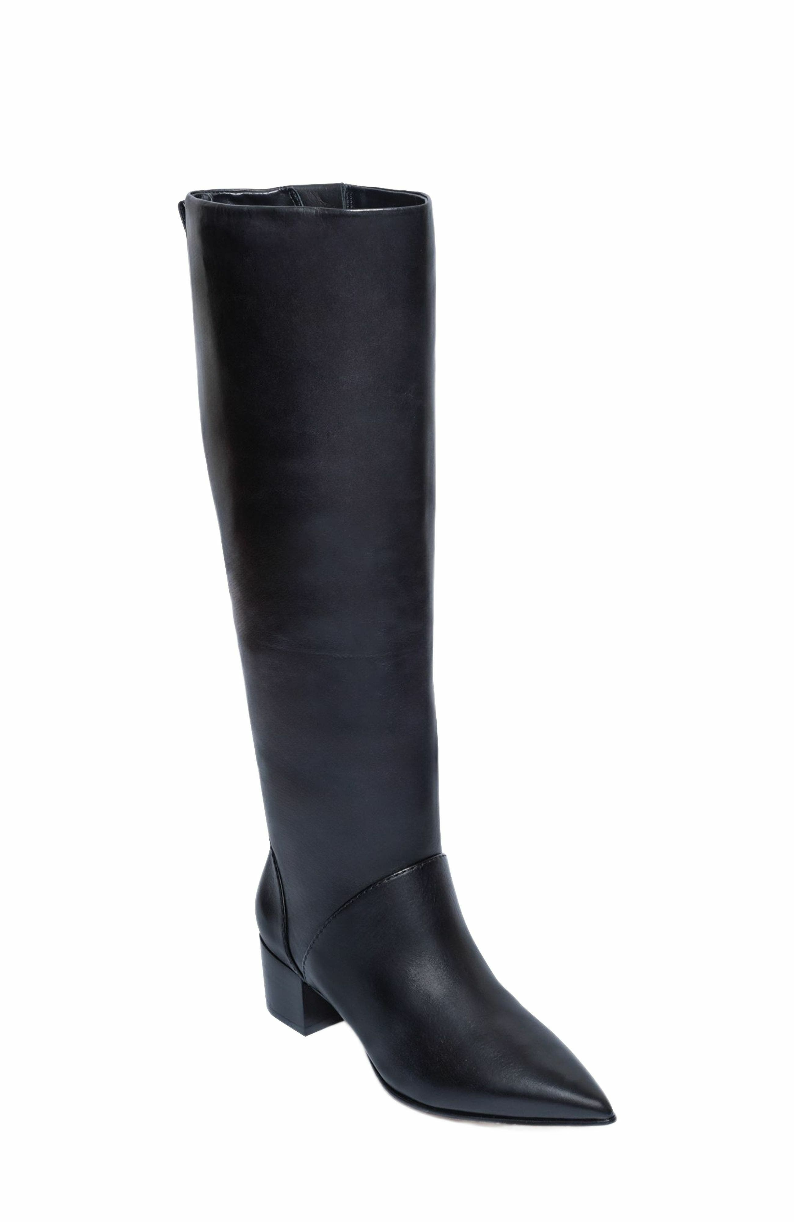 Milano Knee-High Pointed Toe Boot, Alternate, color, BLACK