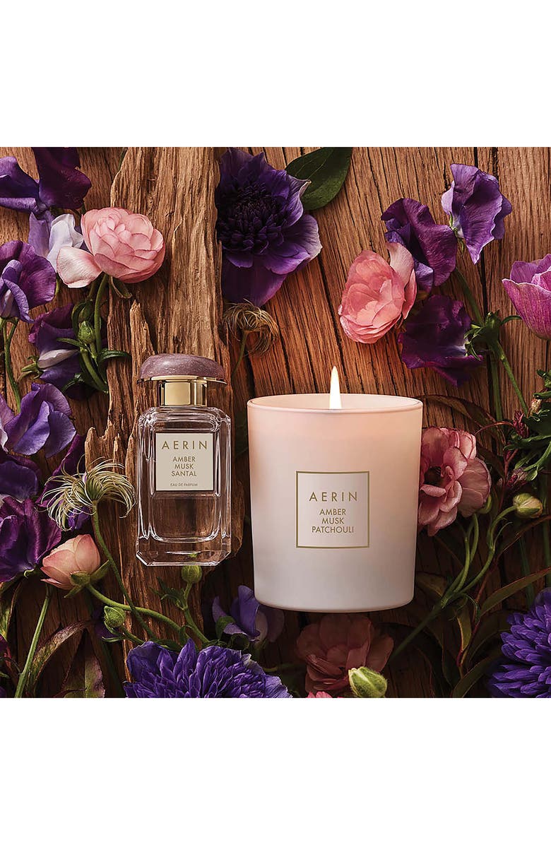 Estée Lauder AERIN Amber Musk Collection Gift Set $188 Value, Alternate, color, 