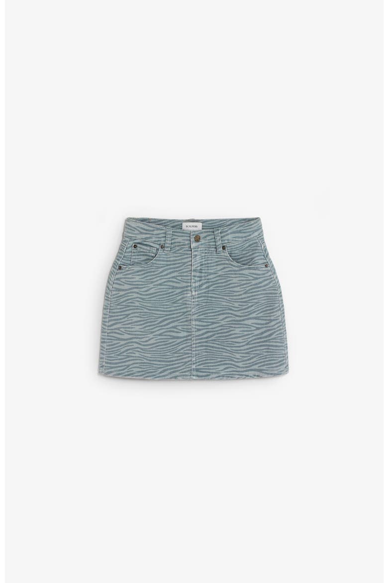 Zebra Skirt Girls, Main, color, Duck