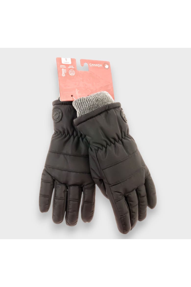 Women's Winter Ski Gloves, Alternate, color, Black