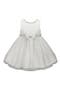 Pearl Mesh Party Dress