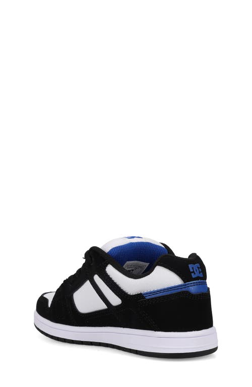 Dc Shoes Kids' The Stag Sneaker In Multi