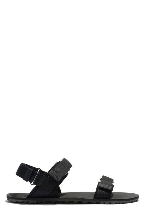 Xero Shoes D-trail Sandal In Black