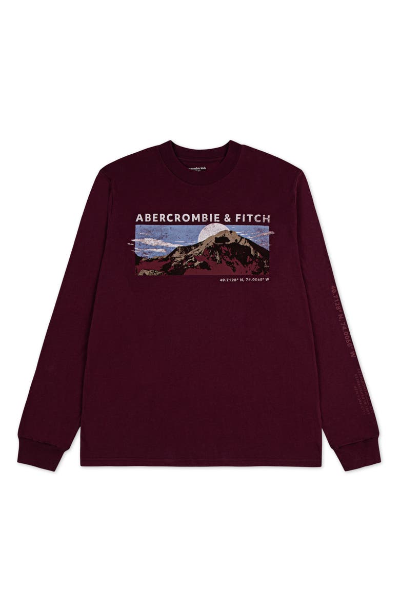 abercrombie kids Kids' Mountain Range Long Sleeve Graphic T-Shirt, Main, color, Fig