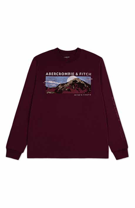 abercrombie kids Kids' Mountain Range Long Sleeve Graphic T-Shirt