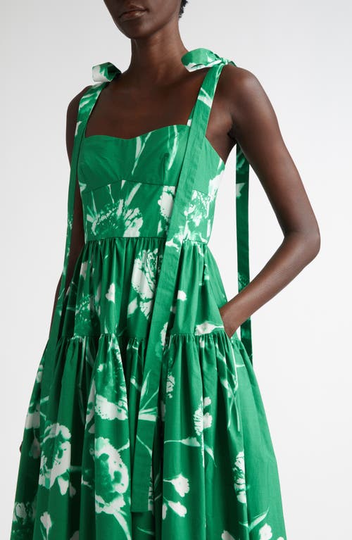 Shop Erdem Floral Print Cotton Poplin Fit & Flare Midi Dress In Carnation Cyanotype Clover