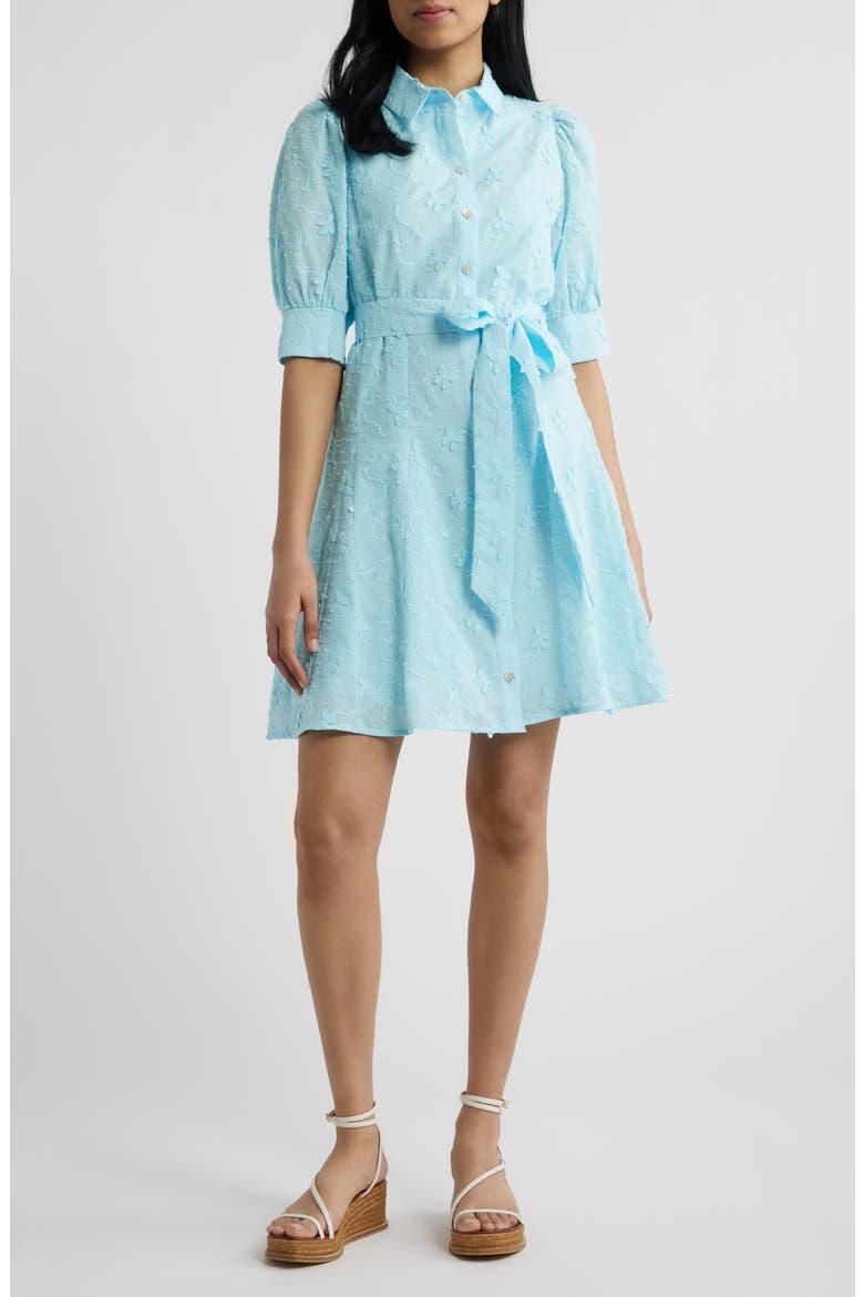 Larkyn Cotton Blend Shirtdress, Main, color, DAY DREAM BLUE MONARCH