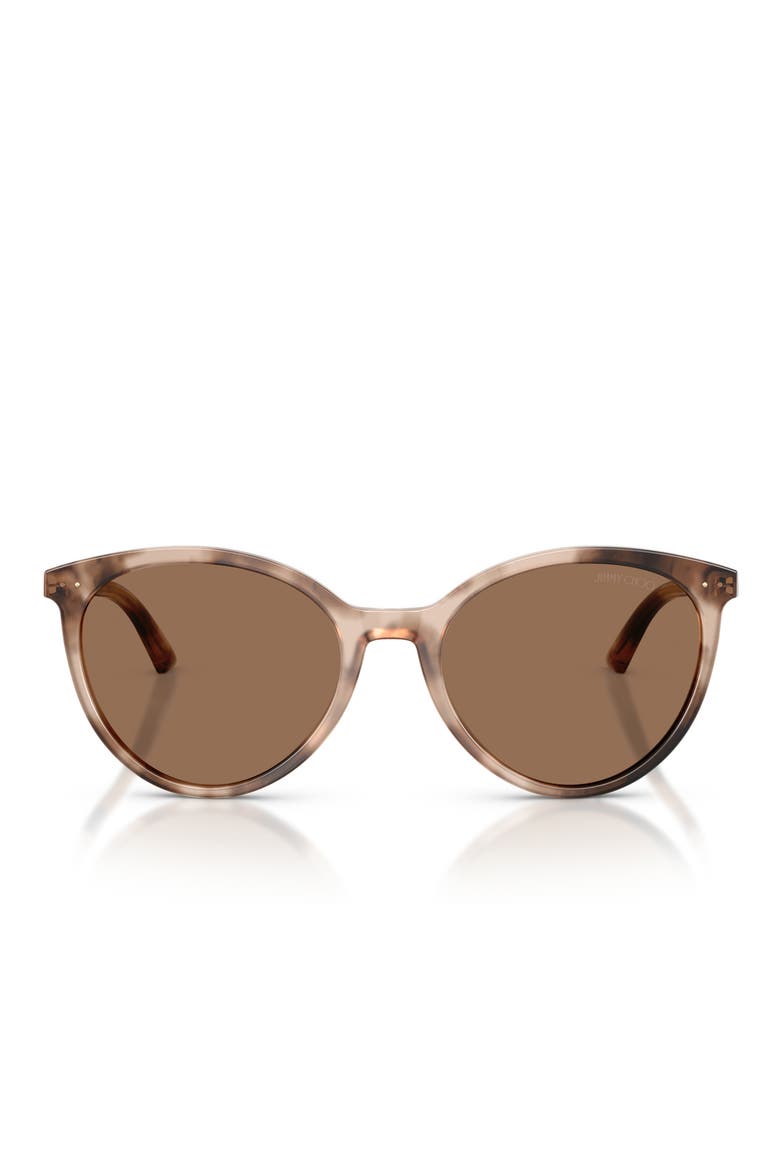 JC5060 53mm Phantos Sunglasses, Main, color, CHAI HAVANA / DARK BROWN
