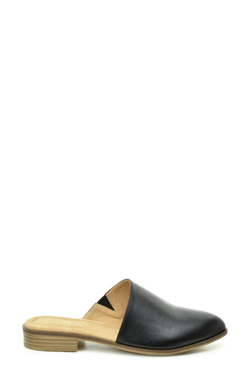 Catherine Catherine Malandrino Asymmetric Mule Flat In Black