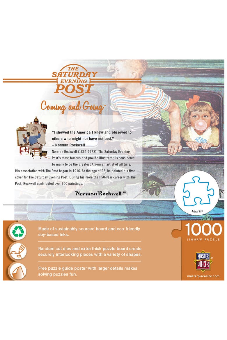 Coming and Going 1000 Piece Puzzle, Alternate, color, Multicolor