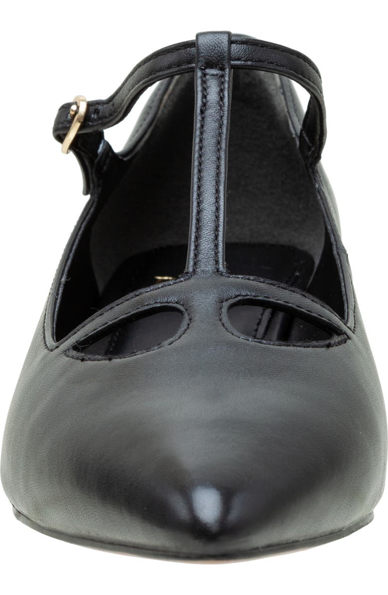 Linea Paolo Celia Pointed Toe T-Strap Pump, Alternate, color, Black