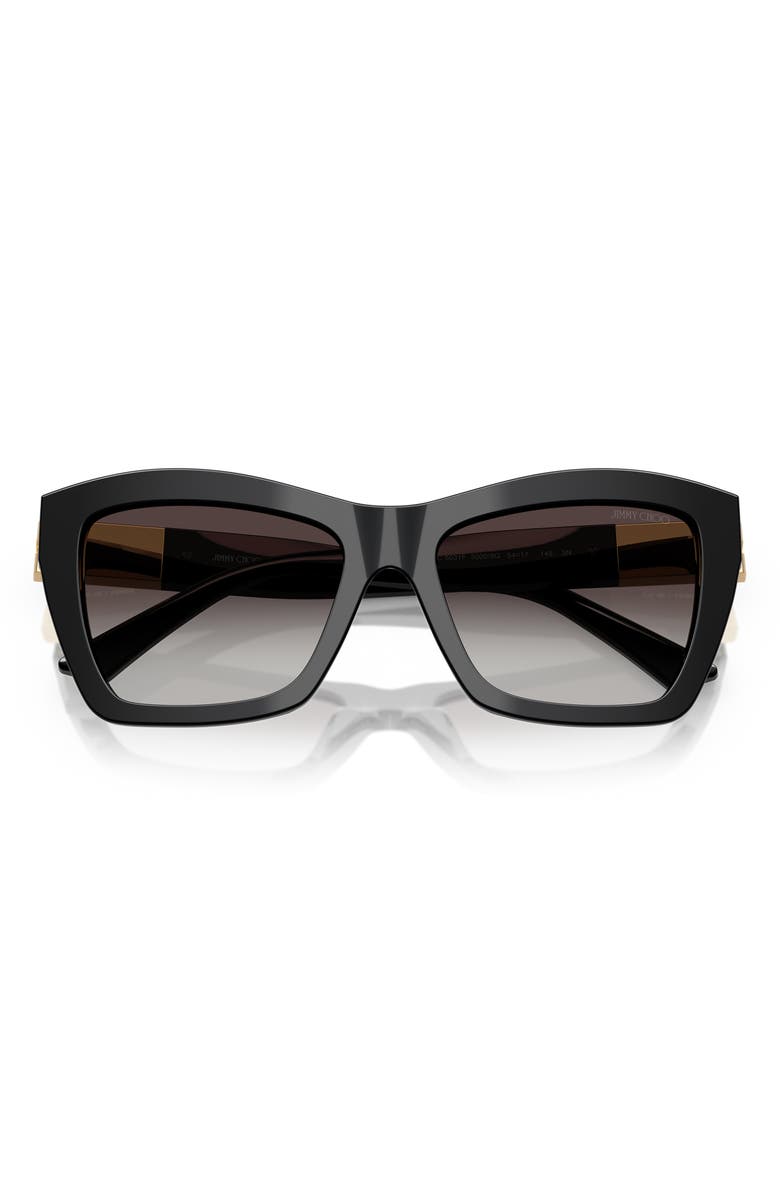 Jimmy Choo 54mm Cat Eye Sunglasses, Alternate, color, Black