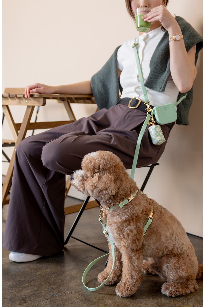 Cloud Lite Waterproof Dog Harness, Alternate, color, PISTACHIO GREEN