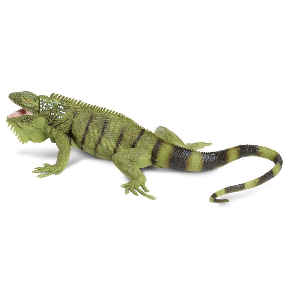 Safari Ltd. Iguana Toy 