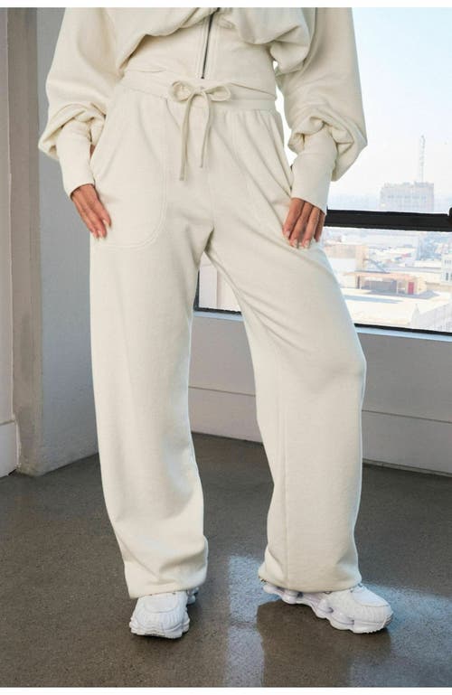 Vitality Remedy Carpenter Pant In Neutral