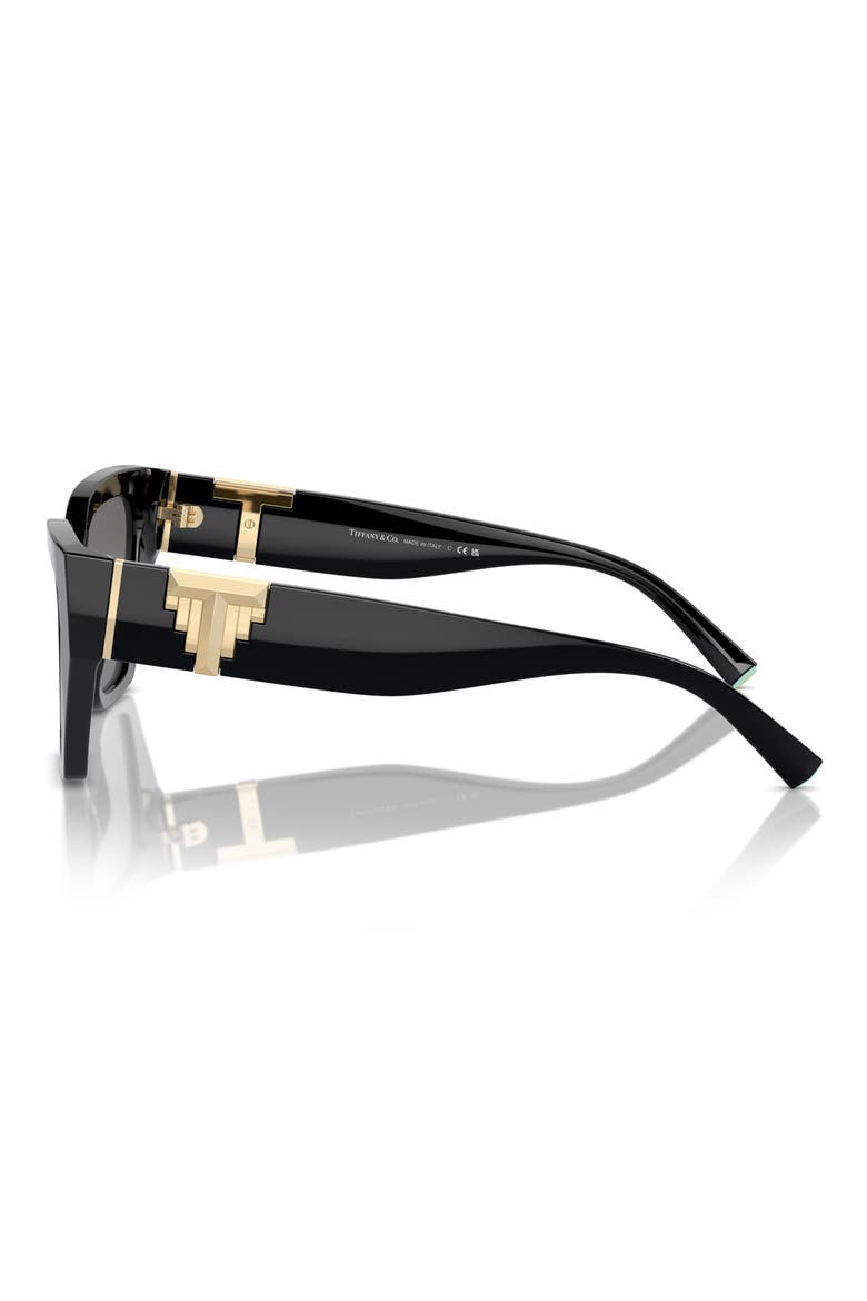 55mm Polarized Cat Eye Sunglasses, Alternate, color, BLACK