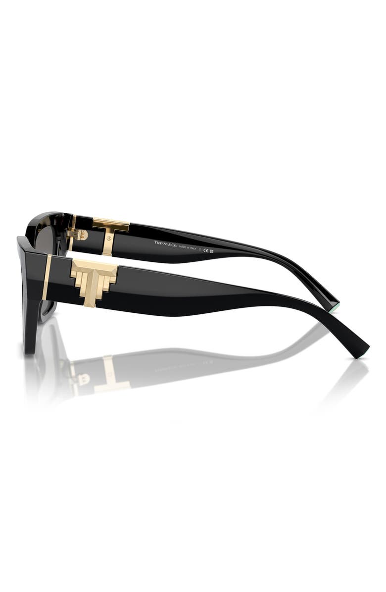 Tiffany & Co. 55mm Polarized Cat Eye Sunglasses, Alternate, color, Black