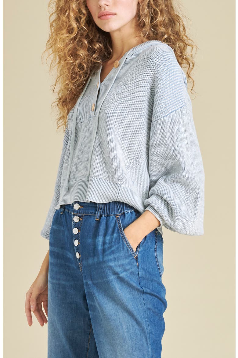 Ursina Hooded Blouson Sleeve Cotton Sweater, Alternate, color, BLUE