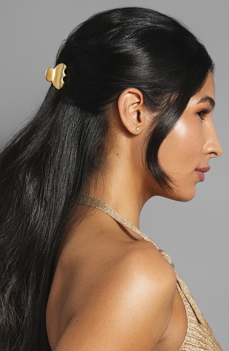 The Hair Edit Set of 2 Assorted Claw Clips, Alternate, color, 