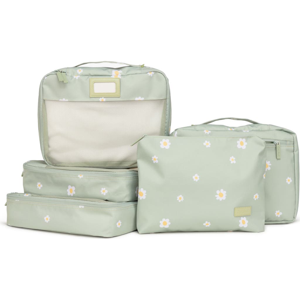 CALPAK 5-Piece Packing Cube Set in Green at Nordstrom