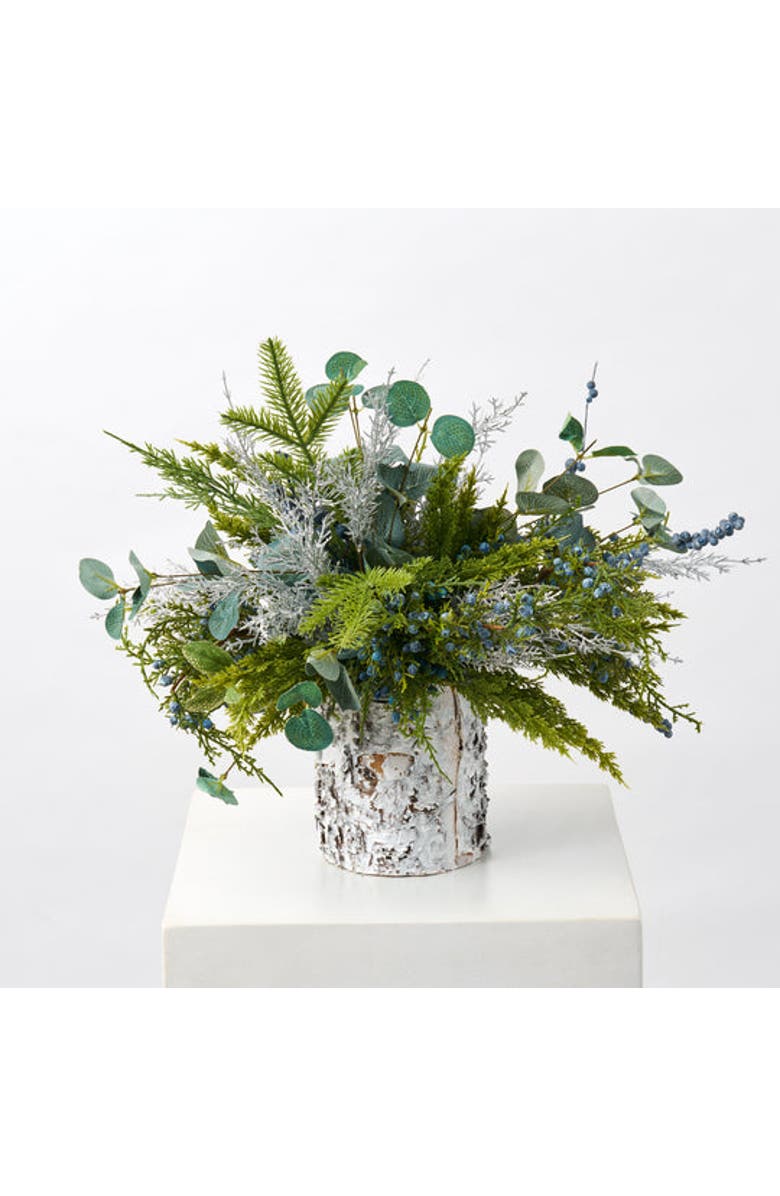Darby Creek Trading Juniper Berry & Silver Cedar Pine Arrangement in Small White Birch Cylinder, Alternate, color, Green